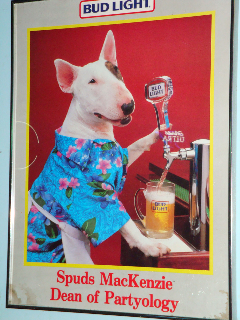 Spuds-MacKenzie-Red