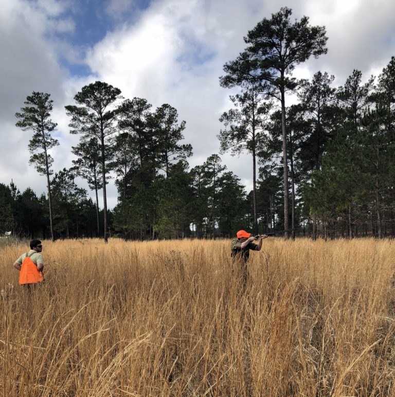 Quail Hunting at Piney Creek Red Clay Soul