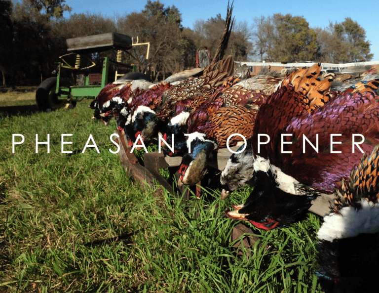 South Dakota Pheasant Opener Red Clay Soul