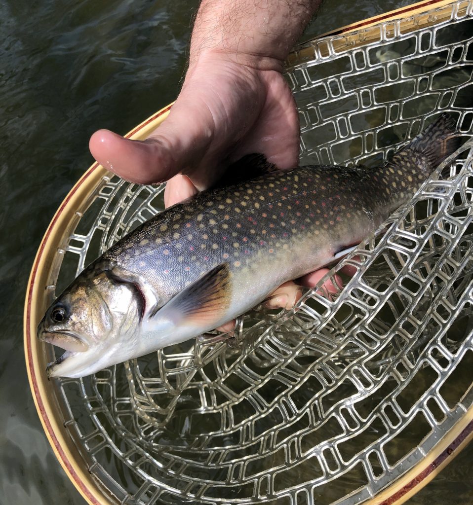 Making The Connection - Fly Fishing, Gink and Gasoline