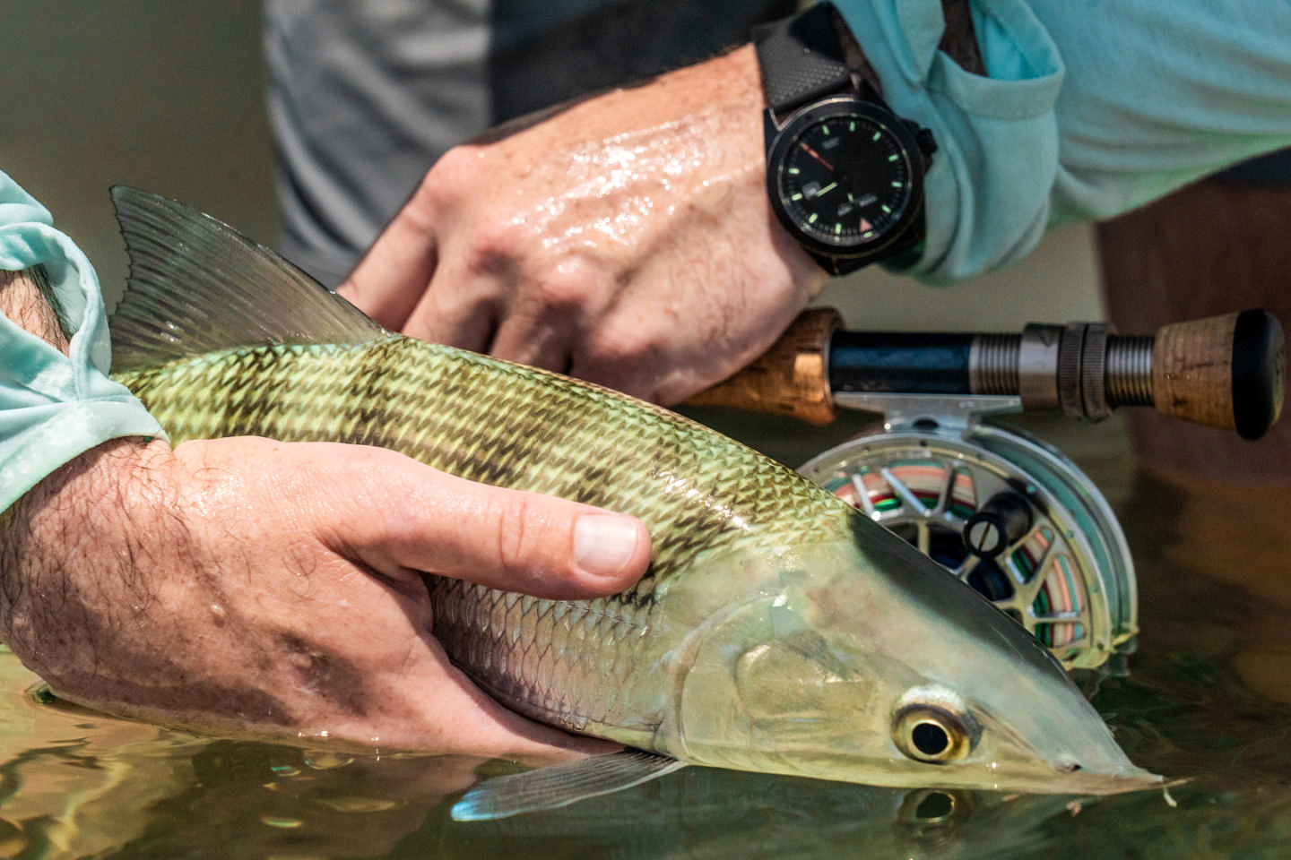 Hook + Gaff, founded by Clemson grad, offers durable watch for golfers