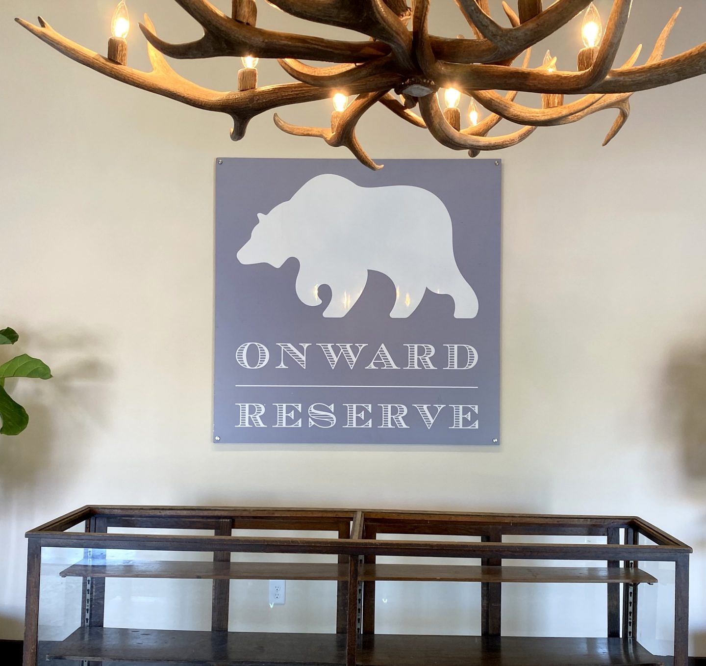 Onward Reserve Cologne