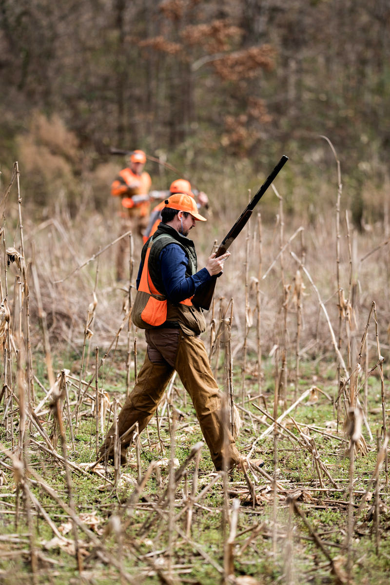 Quail Hunting 101 Red Clay Soul