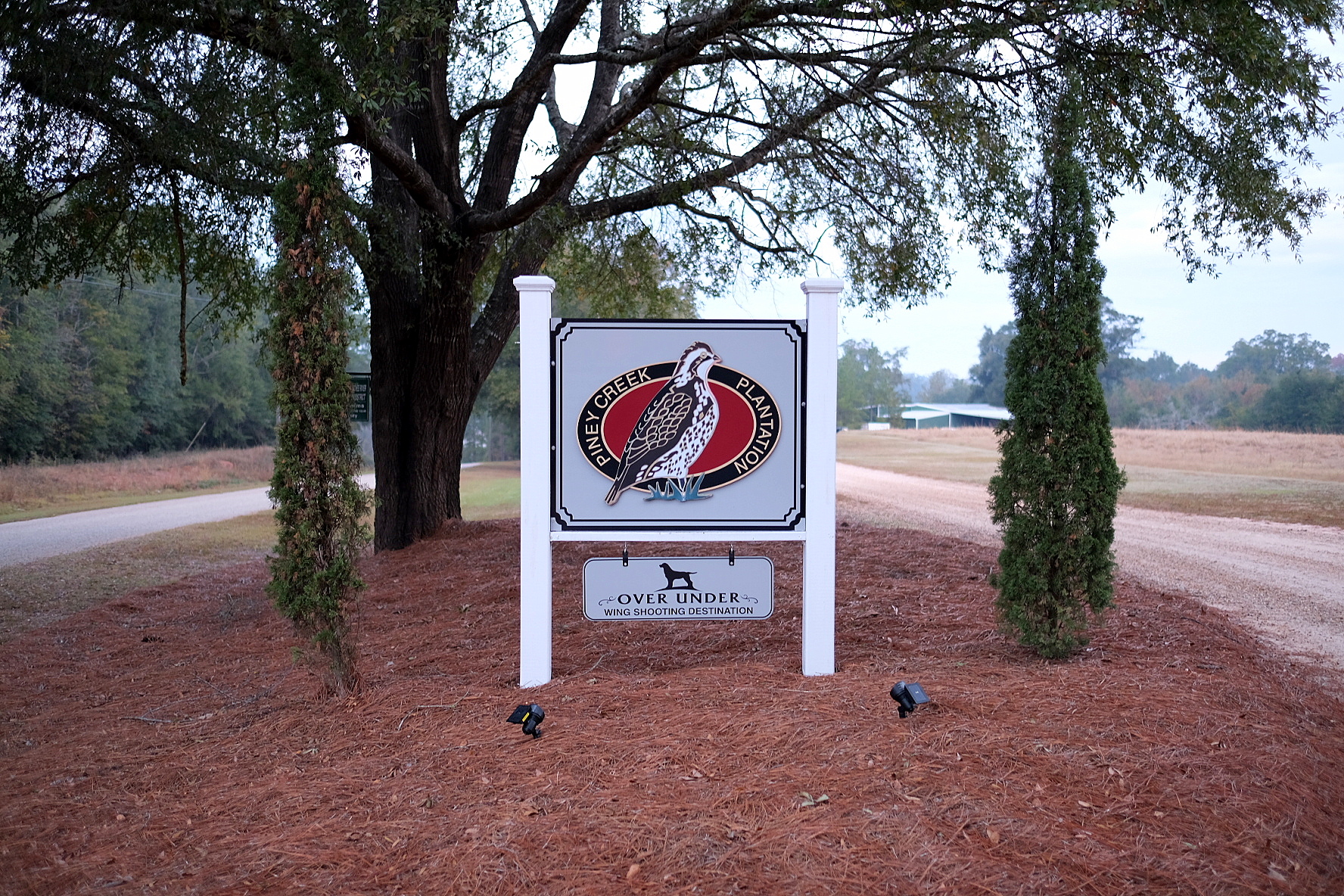 1000 Words Piney Creek Quail Hunt with Over Under Red Clay Soul