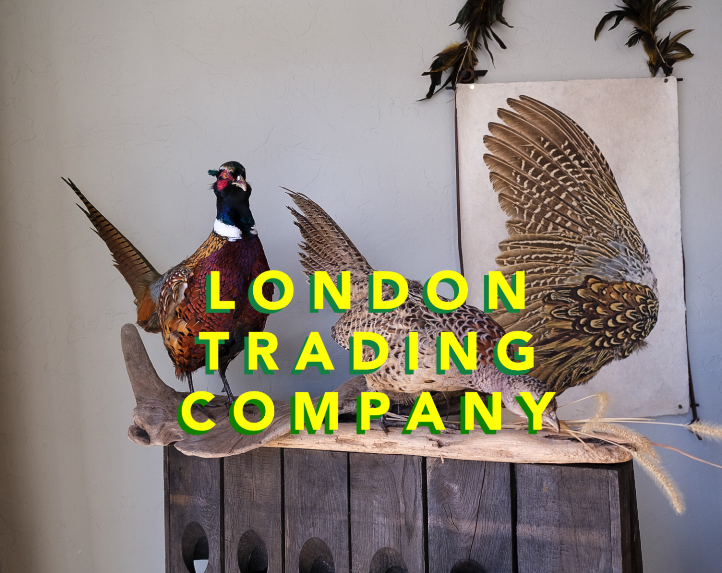 1000 Words: London Trading Company