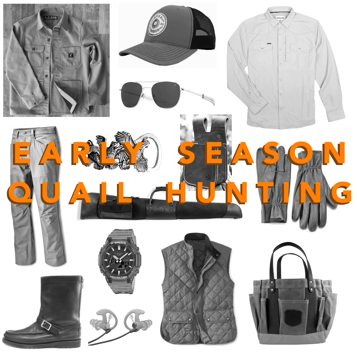 Early Season Quail Hunting