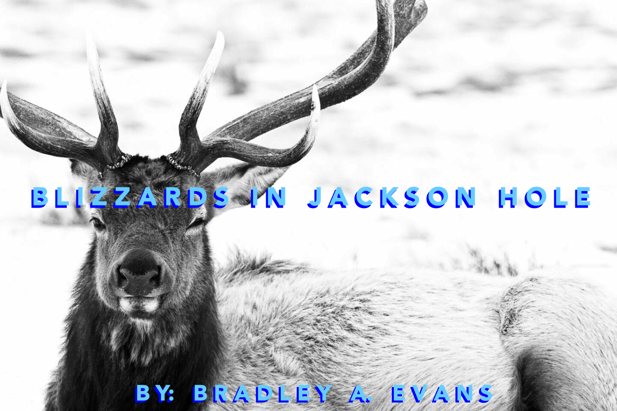 Blizzards in Jackson Hole by Bradley A. Evans