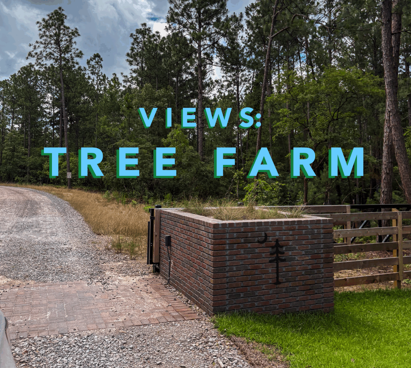 Views: Tree Farm (+ Merch)